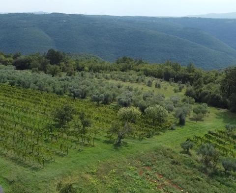 Tágas, panorámás építési telek Barbán területén! - pic 5