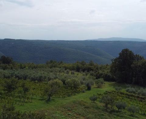 Tágas, panorámás építési telek Barbán területén! - pic 6