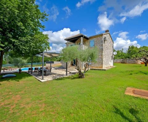 Rural villa with swimming pool in Sveti Lovrec - pic 13