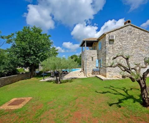 Rural villa with swimming pool in Sveti Lovrec - pic 14