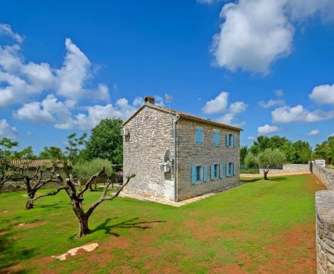 Rural villa with swimming pool in Sveti Lovrec - pic 17