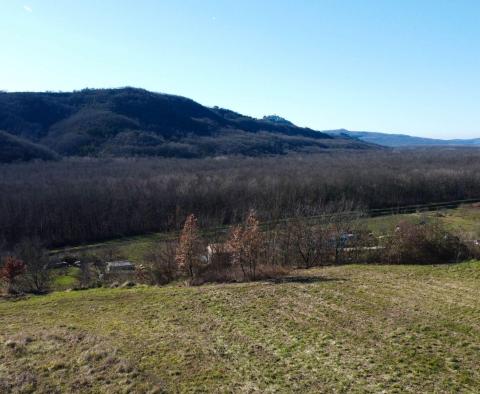 Stavební pozemek 1970 m2 s výhledem na Motovun, nebo prodej - pic 2