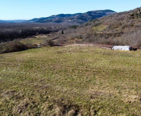 Stavební pozemek 1970 m2 s výhledem na Motovun, nebo prodej - pic 3