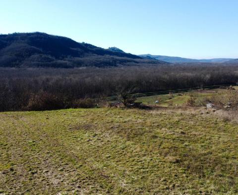 Stavební pozemek 1970 m2 s výhledem na Motovun, nebo prodej - pic 4