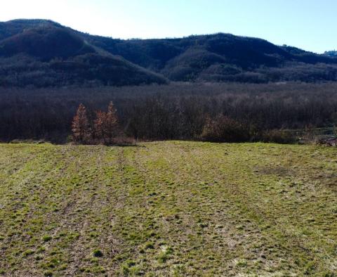 Stavební pozemek 1970 m2 s výhledem na Motovun, nebo prodej - pic 5