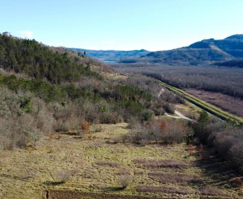 Stavební pozemek 1970 m2 s výhledem na Motovun, nebo prodej - pic 7