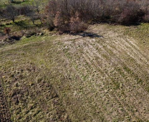 Stavební pozemek 1970 m2 s výhledem na Motovun, nebo prodej - pic 8