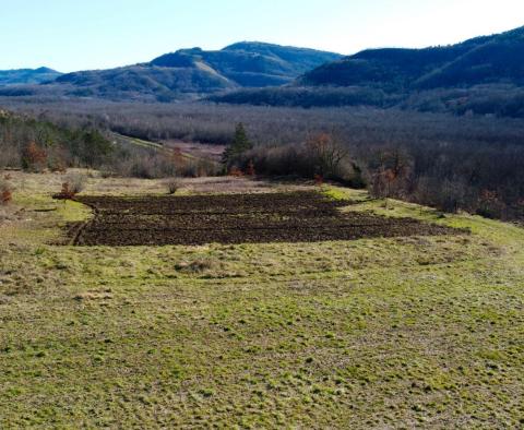 Stavební pozemek 1970 m2 s výhledem na Motovun, nebo prodej - pic 9