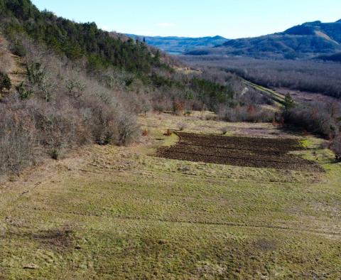 Stavební pozemek 1970 m2 s výhledem na Motovun, nebo prodej - pic 11