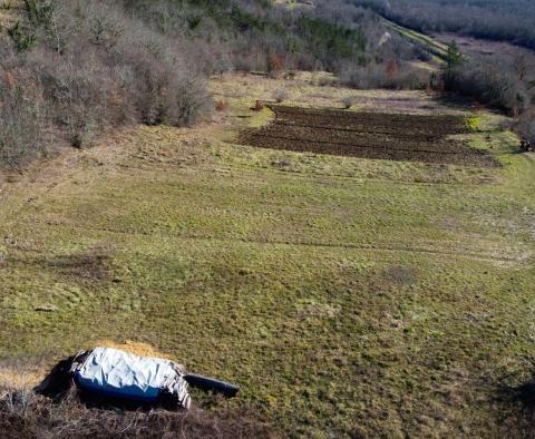 Stavební pozemek 1970 m2 s výhledem na Motovun, nebo prodej - pic 12