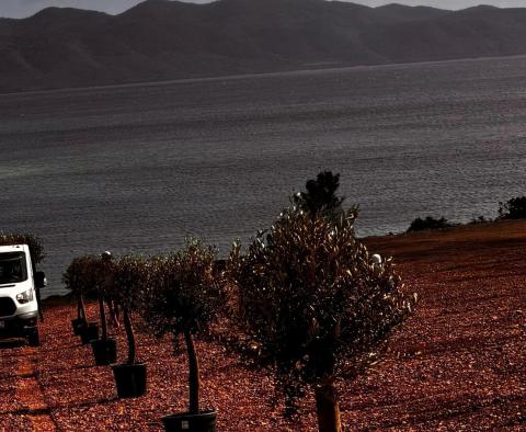 Wspaniała posiadłość na 1. linii na półwyspie Peljesac - pic 8