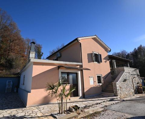 Stone house with tavern in nature in Pazin - pic 5