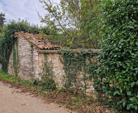 Steinhaus zur Renovierung in einem kleinen Dorf in Barban, zu verkaufen - foto 22