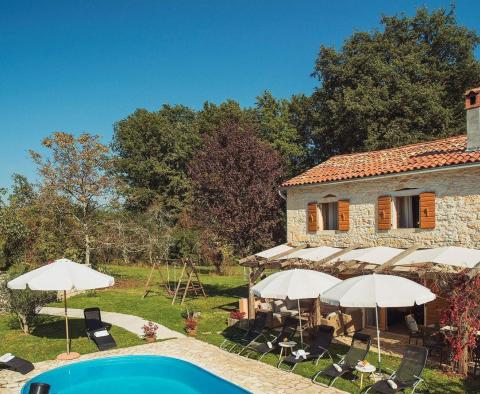 A beautiful stone villa with a swimming pool in the middle of Istria in Gracisce, for sale - pic 4