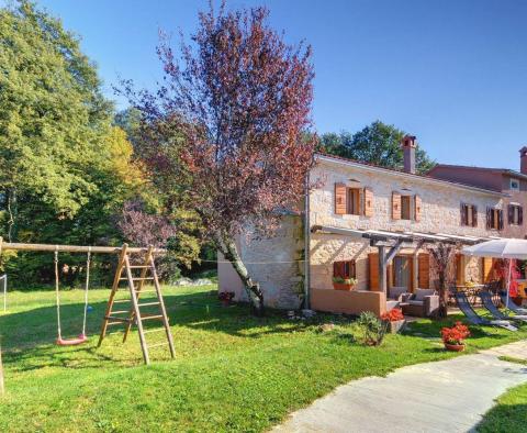 A beautiful stone villa with a swimming pool in the middle of Istria in Gracisce, for sale - pic 12