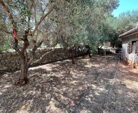 Maison au 1er rang de la mer sur l'île de Cres, à vendre - pic 13