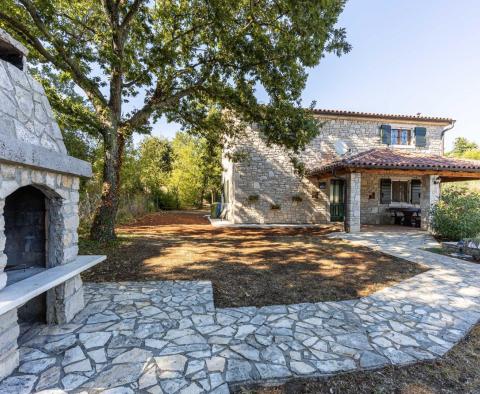 Villa individuelle en pierre avec piscine dans la région de Labin, à vendre - pic 9