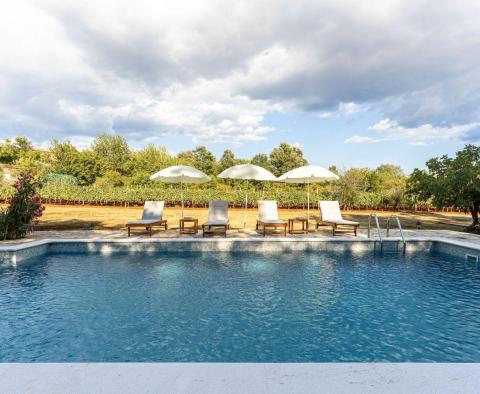 Villa individuelle en pierre avec piscine dans la région de Labin, à vendre - pic 7