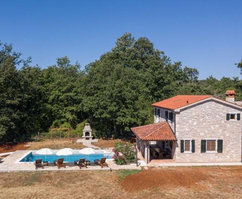 Villa individuelle en pierre avec piscine dans la région de Labin, à vendre - pic 6