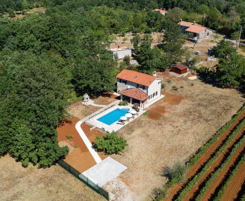 Villa individuelle en pierre avec piscine dans la région de Labin, à vendre - pic 3