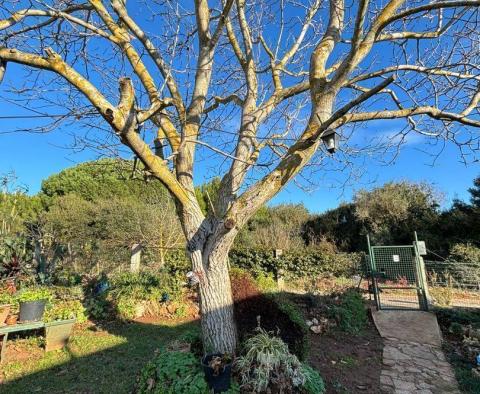 Maison pas chère à Pomer, Medulin, à 200 mètres de la mer, à vendre - pic 5