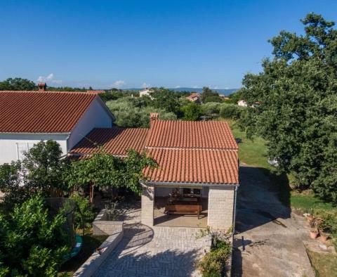 Belle maison avec deux appartements dans un endroit isolé à Marcana, à vendre - pic 2