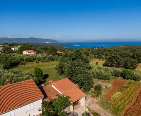 Belle maison avec deux appartements dans un endroit isolé à Marcana, à vendre - pic 4