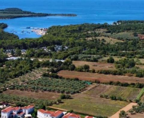 Propriété à vendre à Poreč, avec 4 unités résidentielles - pic 2