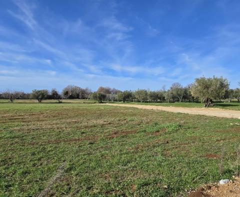 Propriété à vendre à Poreč, avec 4 unités résidentielles - pic 17