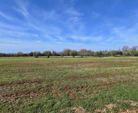 Appartement de luxe à Poreč, à 1 km de la mer, à vendre - pic 10