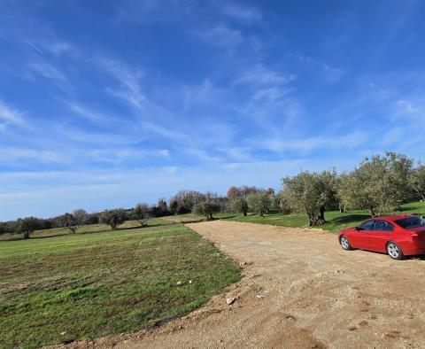 Appartement de luxe à Poreč, à 1 km de la mer, à vendre - pic 14