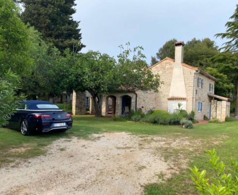 Grand domaine à Novigrad, sur 15.000 m2 de terrain, à vendre - pic 3