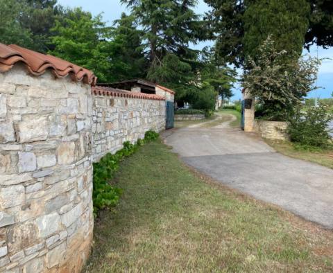 Grand domaine à Novigrad, sur 15.000 m2 de terrain, à vendre - pic 7