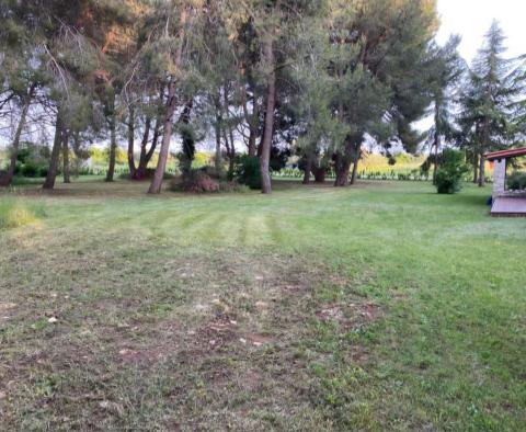 Grand estate in Novigrad, on 15.000m2 of land, for sale - pic 10