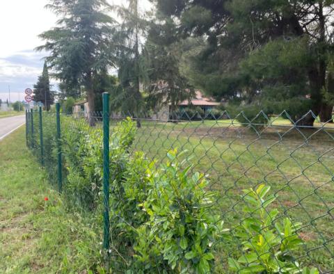 Großartiges Anwesen in Novigrad, auf 15.000 m2 Land, zu verkaufen - foto 11