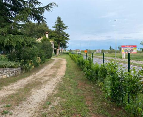 Grand domaine à Novigrad, sur 15.000 m2 de terrain, à vendre - pic 12