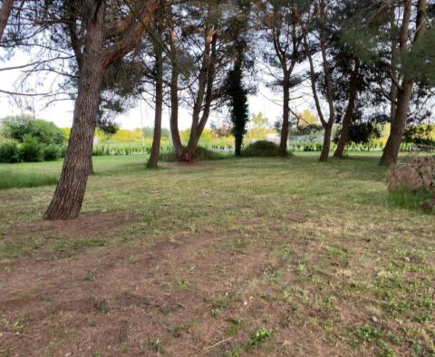 Großartiges Anwesen in Novigrad, auf 15.000 m2 Land, zu verkaufen - foto 13