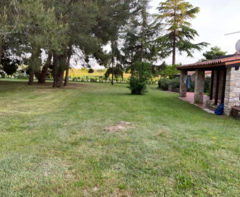 Grand domaine à Novigrad, sur 15.000 m2 de terrain, à vendre - pic 15