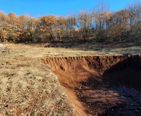 Nieruchomość w Smoljanci, Svetvinčenat, na 27.000m2, na sprzedaż - pic 15