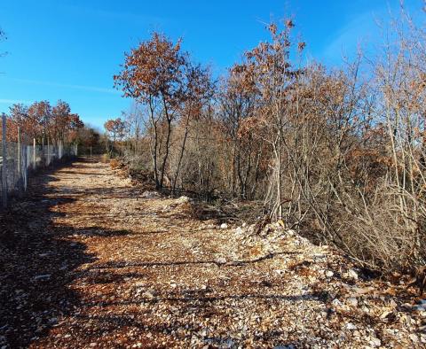 Nieruchomość w Smoljanci, Svetvinčenat, na 27.000m2, na sprzedaż - pic 17