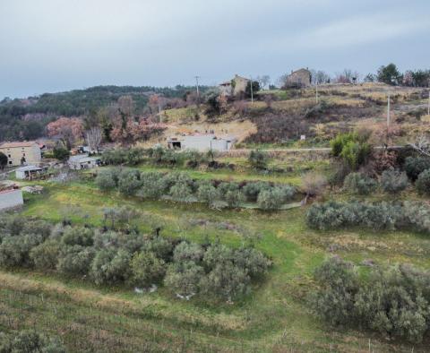 Nová moderní vila v Krasica, Buje, na prodej - pic 7