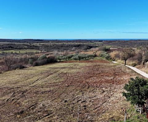 Building plot with panoramic view in Buje, for sale - pic 2