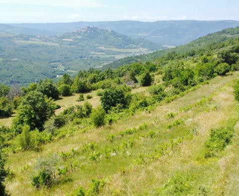 Land in Motovun, for sale - pic 8