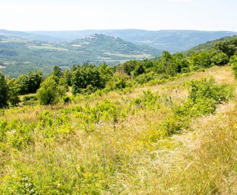 Land in Motovun, for sale - pic 13