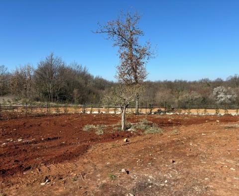 Neue Villa in Svetvinčenat, zum Verkauf - foto 31