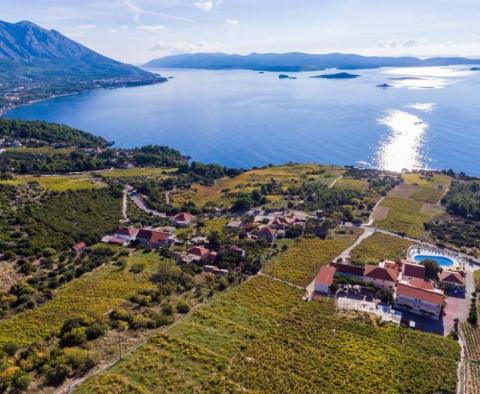 Modernes Hochzeitshotel in Kroatien, Halbinsel Peljesac mit Weinbergen! - foto 3