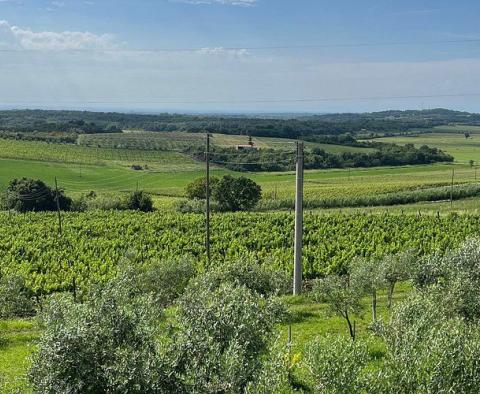 Moderní rodinný hotel s profesionální restaurací a panoramatickým výhledem v Buje, na prodej - pic 29