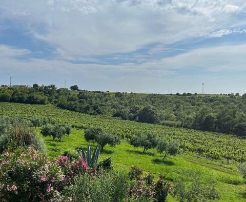 Moderní rodinný hotel s profesionální restaurací a panoramatickým výhledem v Buje, na prodej - pic 30