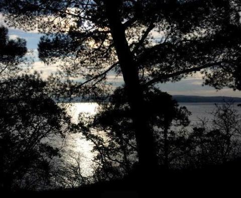 Terrain en front de mer avantageux dans la région de Crikvenica pour le développement touristique et marina pour 40 yachts - pic 3