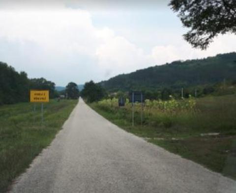 Hatalmas telek eladó Livade körzetben a Motovun völgyben, lakóépítkezésre - pic 4